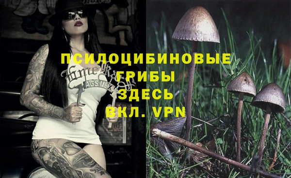 метадон Карталы